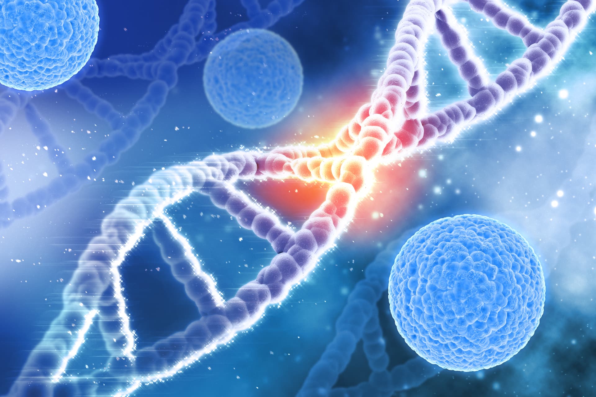 DNA strands illustrating the cellular foundation of mesenchymal stem cell programs