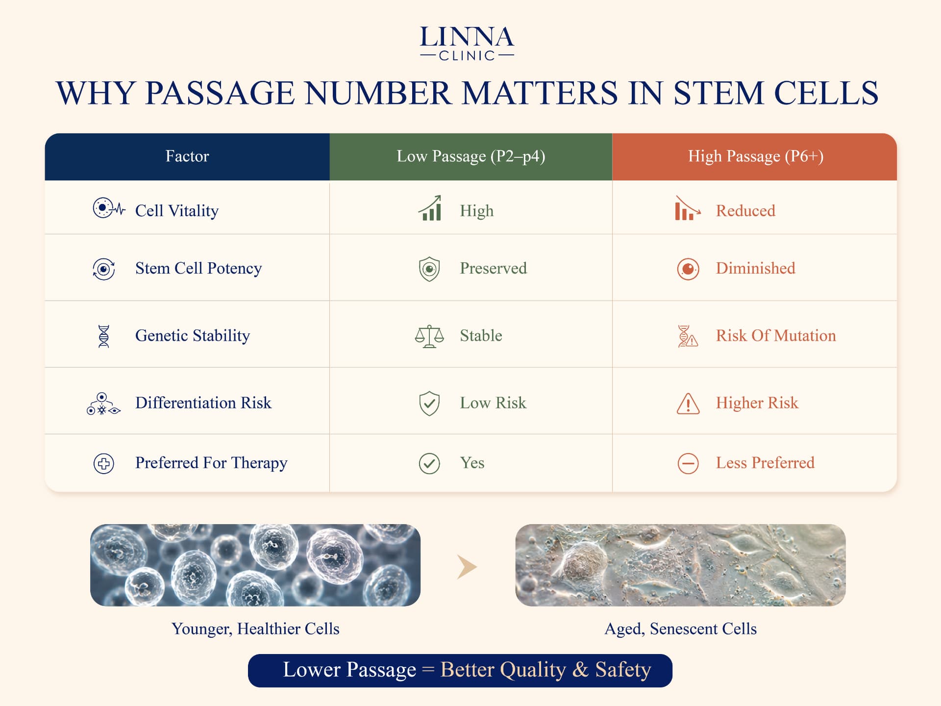 Illustration of stem cell passage numbers in laboratory culture